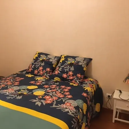 Apartment Confort Avec Parking, Proche Et Commerces - Fr-1-197-509